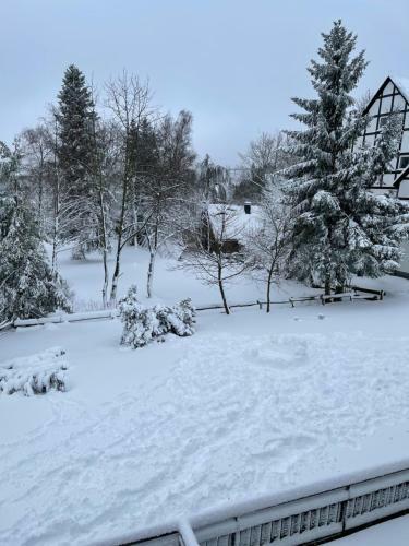 Apartamento Rothaarsteig - Loft