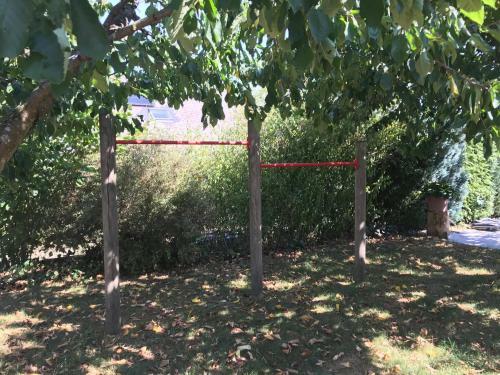 Apartamentos Ferienwohnung Dora