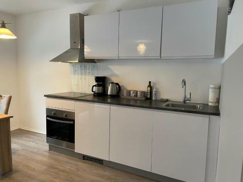 Apartment Sanja