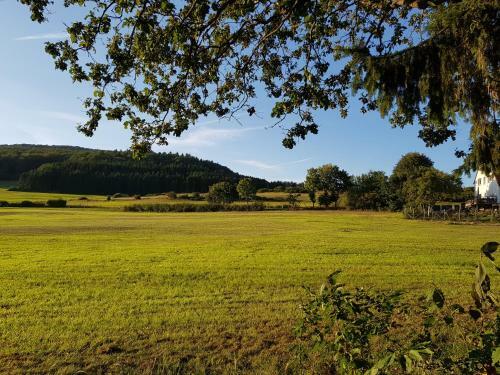 Apartamento Ferienwohnung Parkblick Medebach