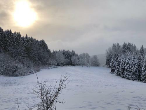 Ferienhaus K�stelliebe