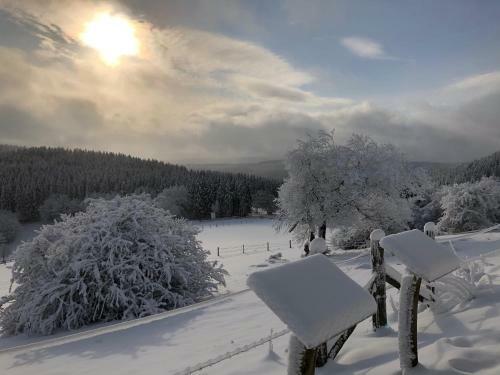 Ferienhaus K�stelliebe