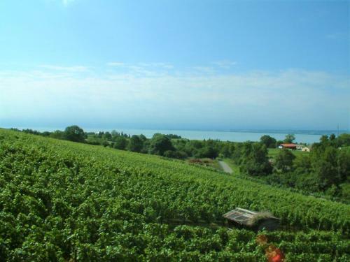 Hostal Haus Am Trielberg