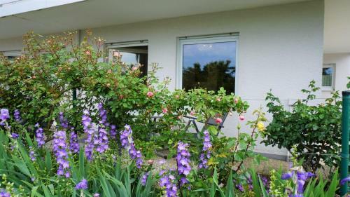 Apartamento Silvaner-laube Silvanerlaube B