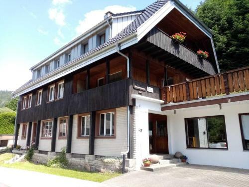 Mountain Apartment In St Blasien With Balcony