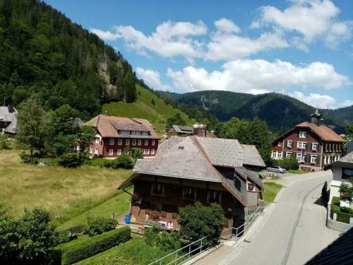 Mountain Apartment In St Blasien With Balcony