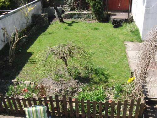 Haus M�wennest