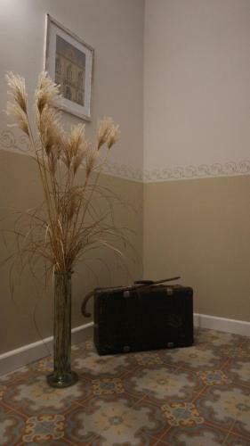Apartamento Appartements Neef