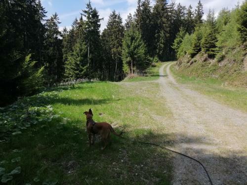 Apartamento Fewo Im Sch�nen Sauerland