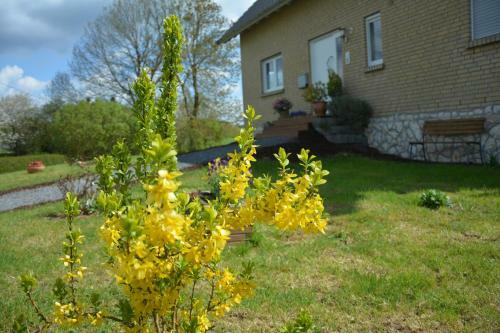 Bed & Breakfast G�stehaus Celine