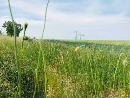 Ferienhaus Live Deluxe In Der Sch�nen Uckermark
