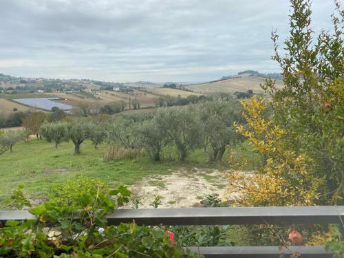 Le Belle Marche Country House