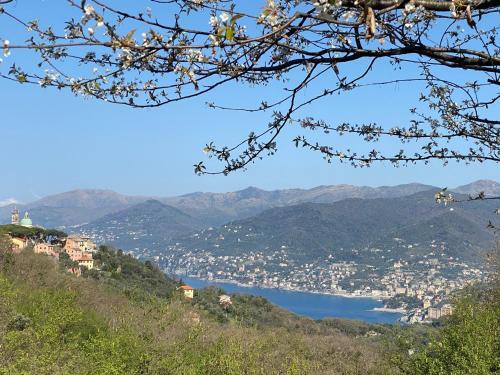 Apartamento Liguria Home 4