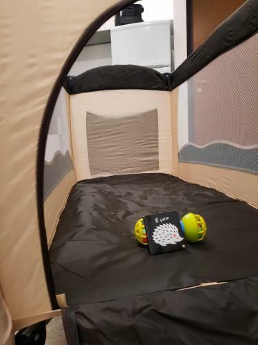 Apartamento Guest House Zanibelli