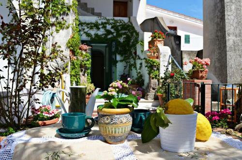 Apartamento Casa Cecilia