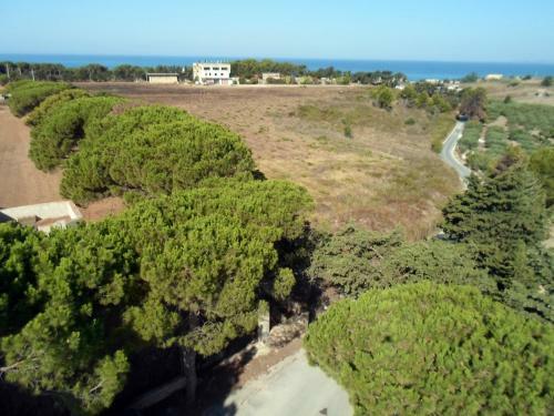 Kamemi Village & Camping