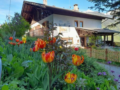 Agroturismo Stuberhof