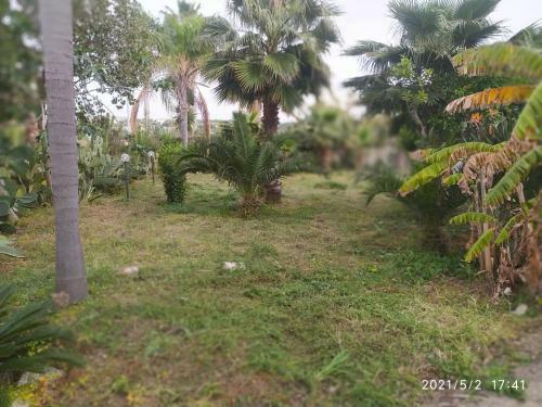 Apartamento Villa Mois� 2