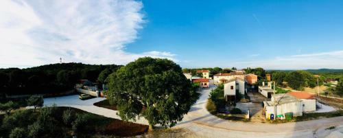 Posada Guest House Maxi