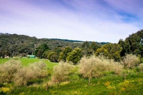 Lodge Stony Creek Cottages