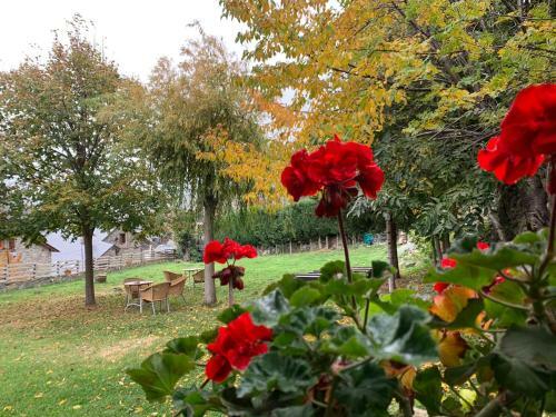 Hotel Rural El Xalet De Ta�ll