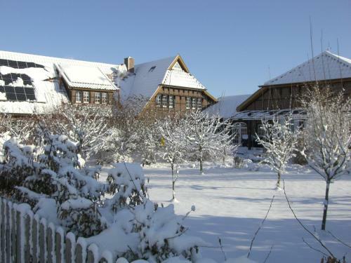Hostal The Cosy Home