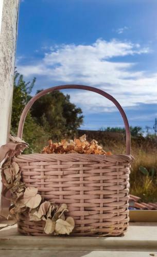 Bed & Breakfast Al Passo Di Thalia