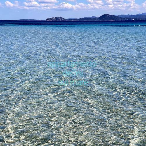 Apartamento Appartamento Delfini Sul Mare