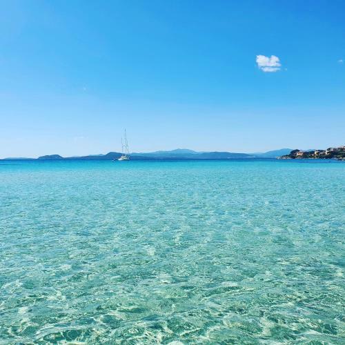 Apartamento Appartamento Delfino Azzurro