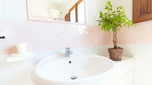 Apartamento Welcomely - Arri�ra