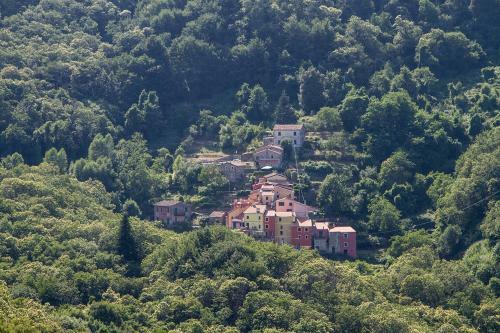 Bed & Breakfast Borgo Di Codeglia - Country Rooms