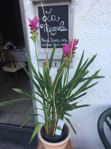Apartamento La Magnolia
