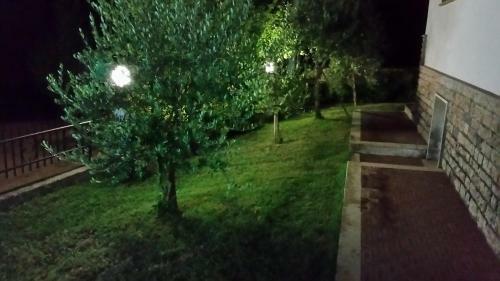 Villa Pina