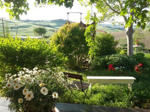 "la Casa Degli Ulivi Art B&b"