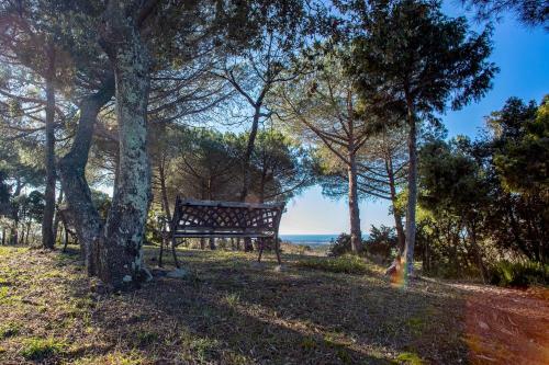 Glamping Debbiare