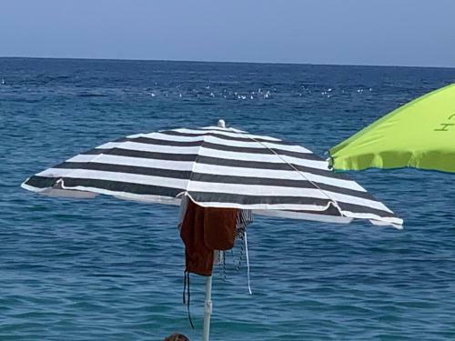 Apartamento Nido Di Riva - Monolocale