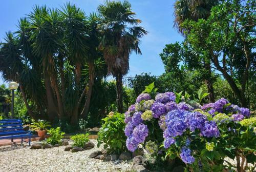 B&B Casanera