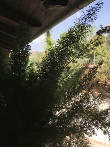 Agroturismo Carretiello