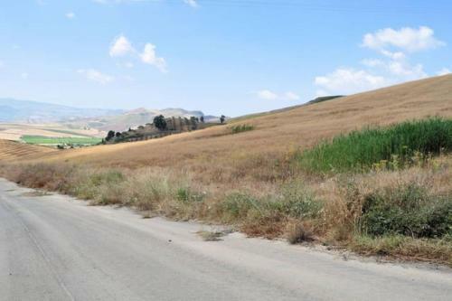 Beautiful Apartment Near Corleone