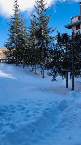 Apartamento La Tana Del Lupo