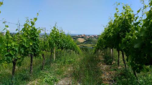 Hostal Ca' Fabbri