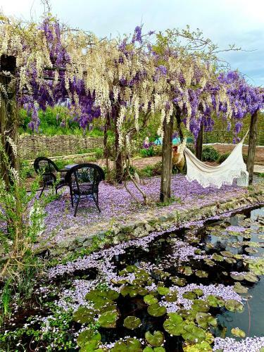 Bed & Breakfast Fonte Dell'vsignolo