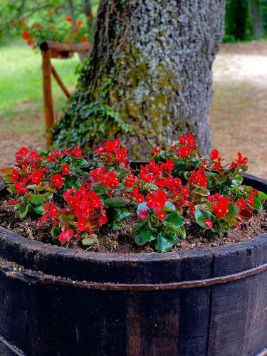 Hotel Casa Del Pastore