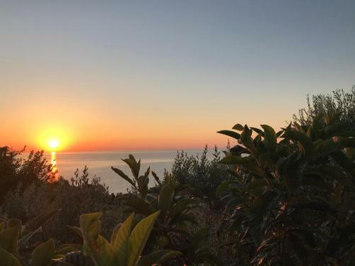 Apartamento Tra Terra E Mare