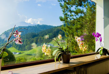 Hostal Villa Bello