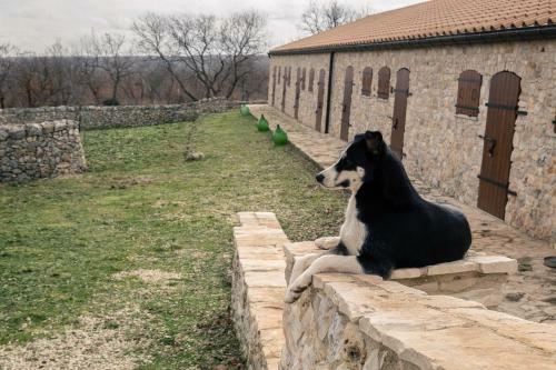Agroturismo Tenuta Tedone Consolini