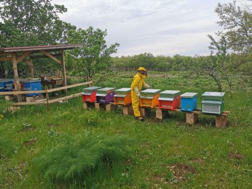 Agroturismo Tenuta Tedone Consolini