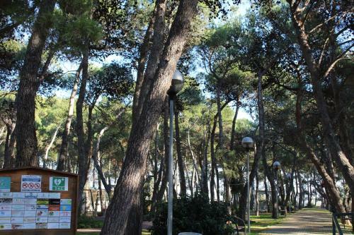 Bed & Breakfast La Pigna