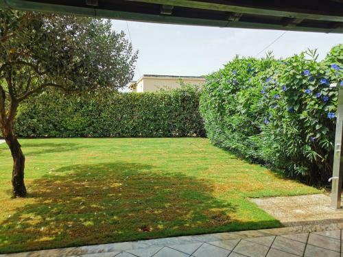 La Rosa Casa Vacanze Sabaudia