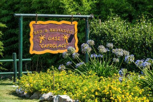 Bed & Breakfast Oasi Caprolace